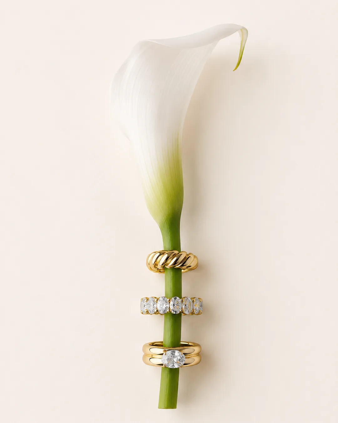 A white calla lily with three gold rings stacked on its stem, on cream